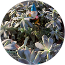 Jackie Braun profile picture