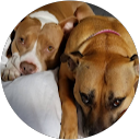 CC316 profile picture