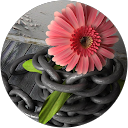 joeann ofician profile picture