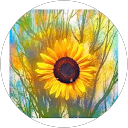 Mykel Prescott profile picture